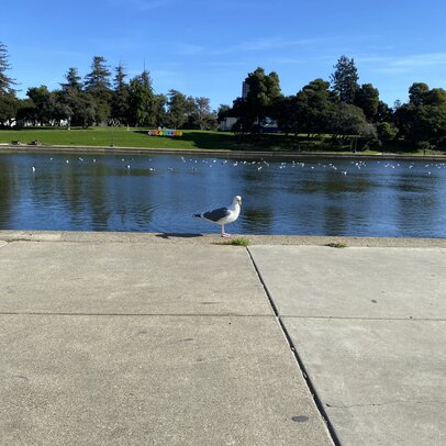 Thumbnail: 20241230-bay_area-003.jpg