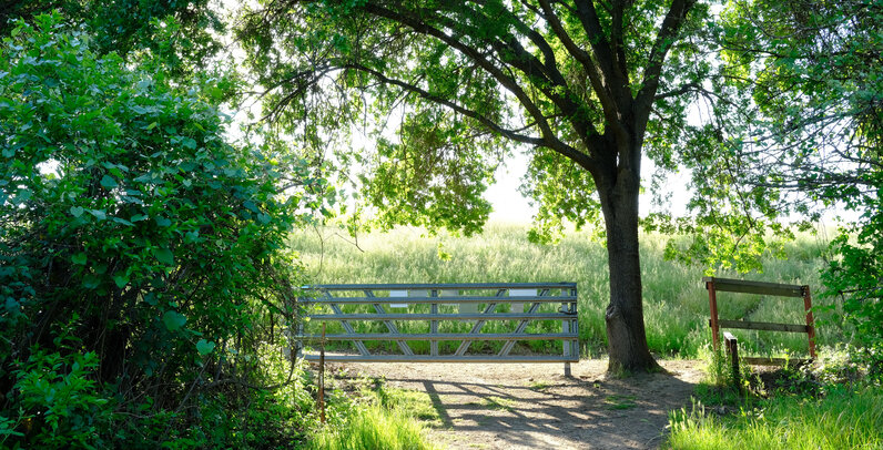 Thumbnail: 20250503-nature_walk.jpg