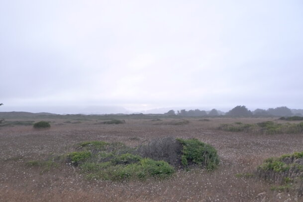 Thumbnail: 20230701-camping-288.jpg