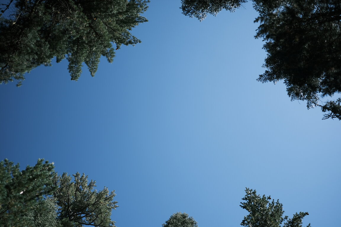 Image: 20250912-camping-01.jpg