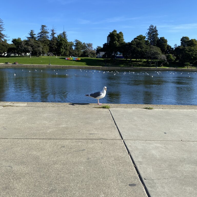 Image: 20241230-bay_area-003.jpg