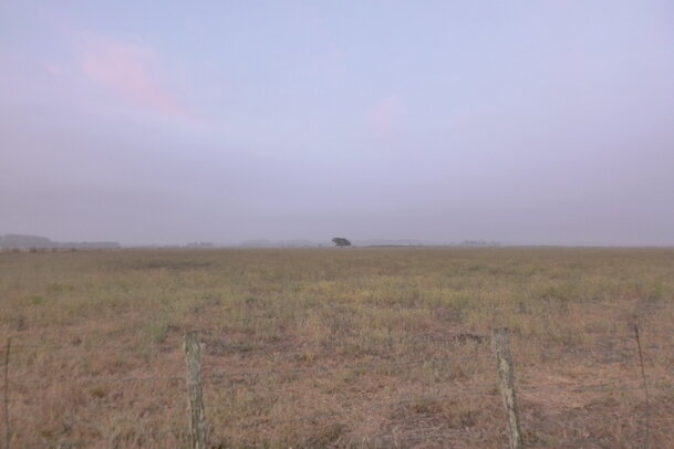 Thumbnail: 20230701-camping-285.jpg