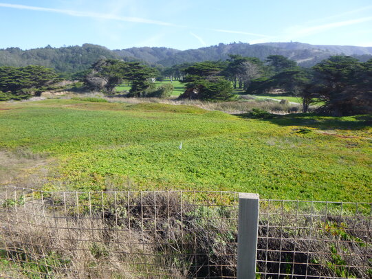 Thumbnail: 20241230-bay_area-006.jpg