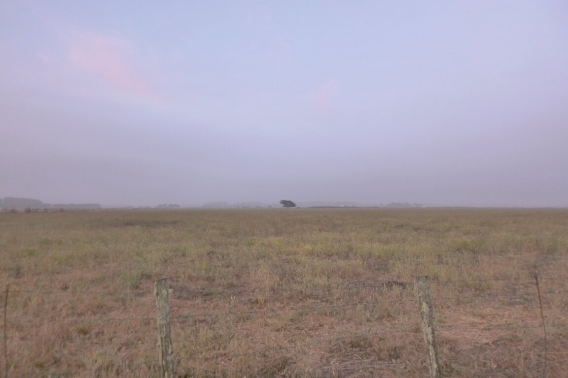 Image: 20230701-camping-285.jpg