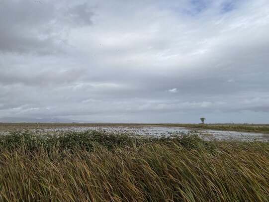 Thumbnail: 20251026-bike_ride-01.jpg