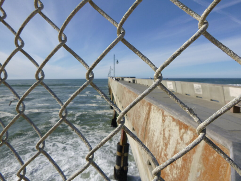 Image: 20241230-bay_area-009.jpg